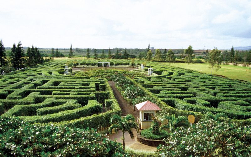 The type of labyrinth garden