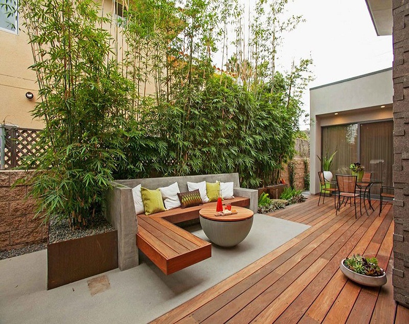 Create an backyard oasis 