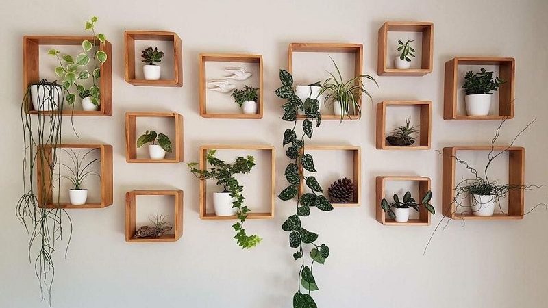 Plant wall decor:  5 easy and simple ways to decorate your walls