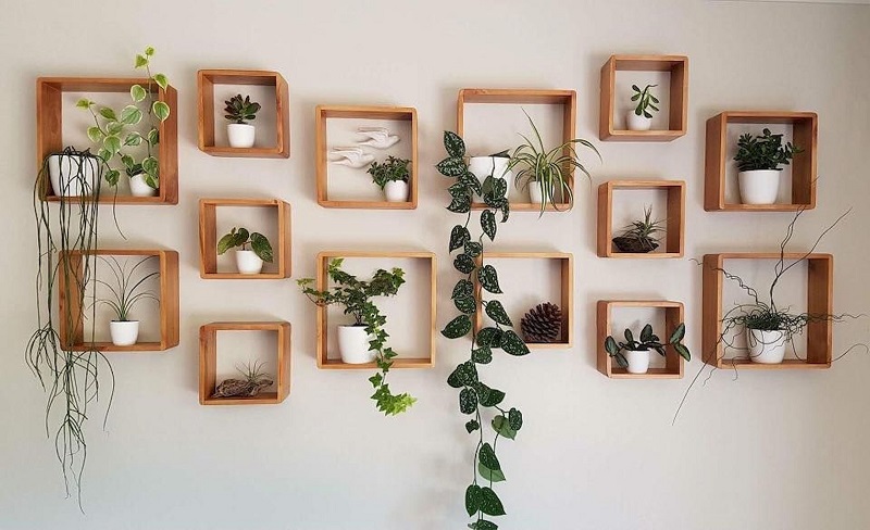 Plant wall decor:  5 easy and simple ways to decorate your walls