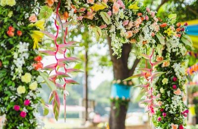 DIY Projects to Enhance Your Backyard Garden