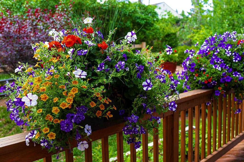 How to Grow a Garden on a Balcony