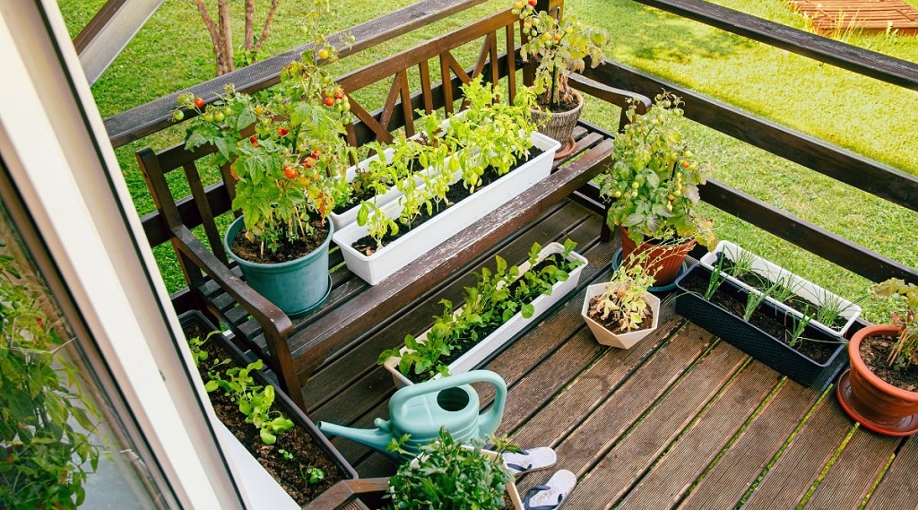 How to Grow a Garden on a Balcony