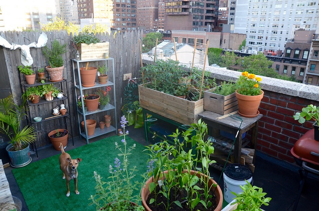 How to Balcony Garden