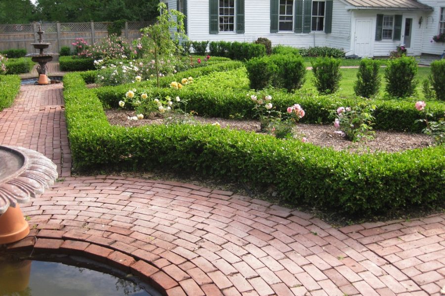 Elevate Your Garden with Timeless Boxwoods in Landscaping