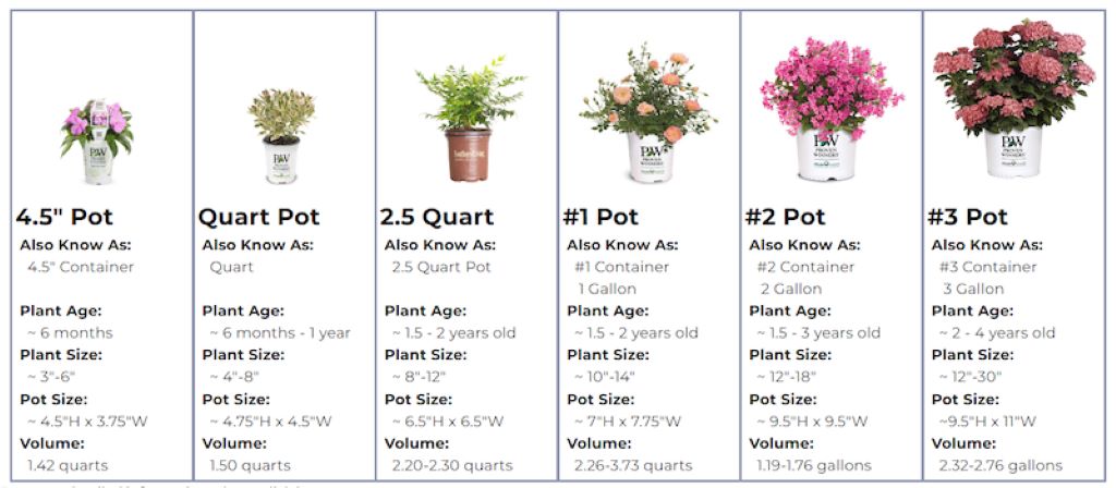 Key Takeaways: Measuring Plant Pots