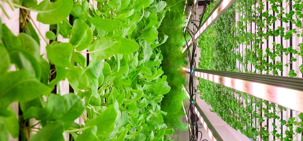 What are some advantages of vertical farming?