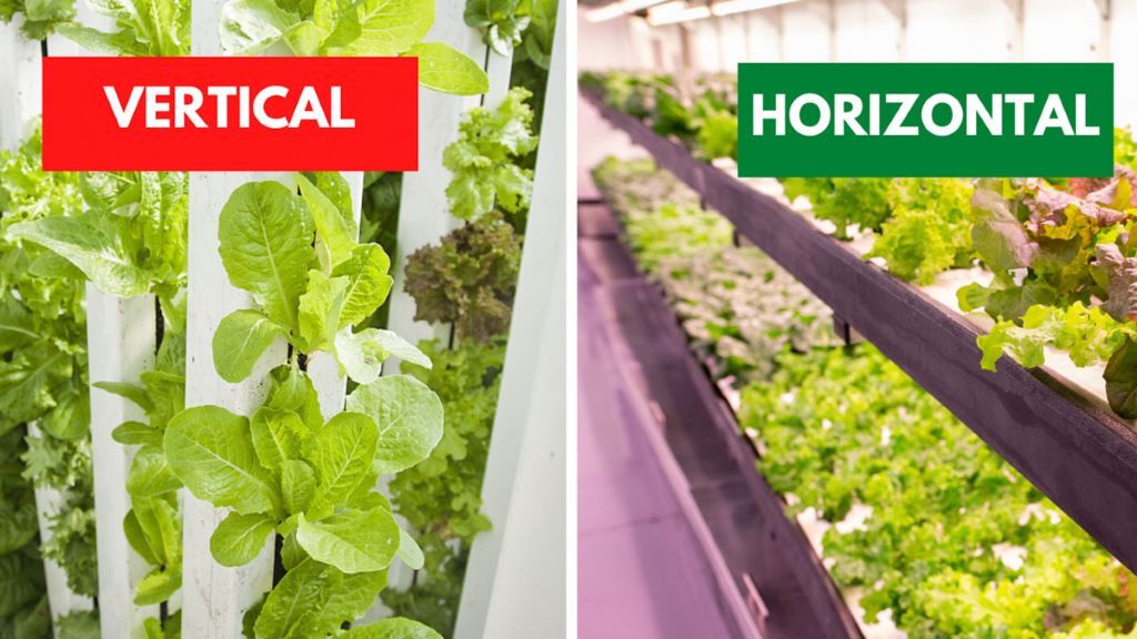 What are the pros and cons of vertical hydroponic system?