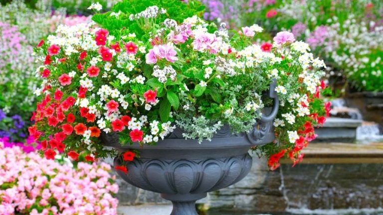 What is the best mix for container gardening?