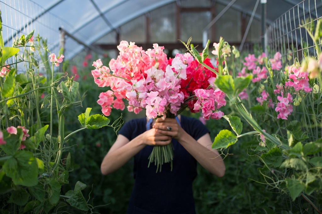 How do you get the best flowers from sweet peas?