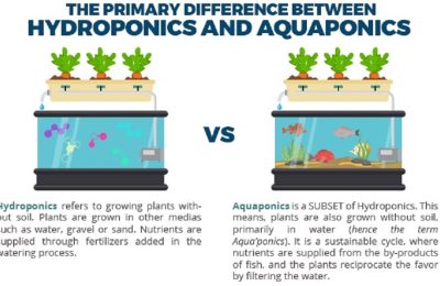 Hydroponics vs. Aquaponics: A Comparison of Growing Methods