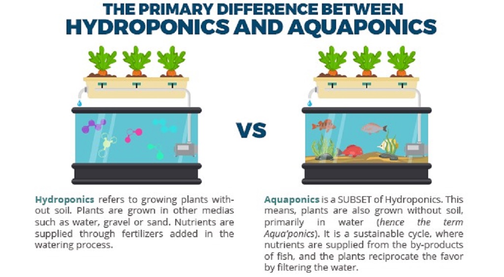 What is better, aquaponics or hydroponics