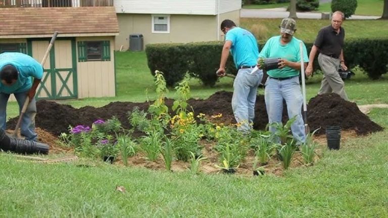 Rain Garden Installation Training Guide