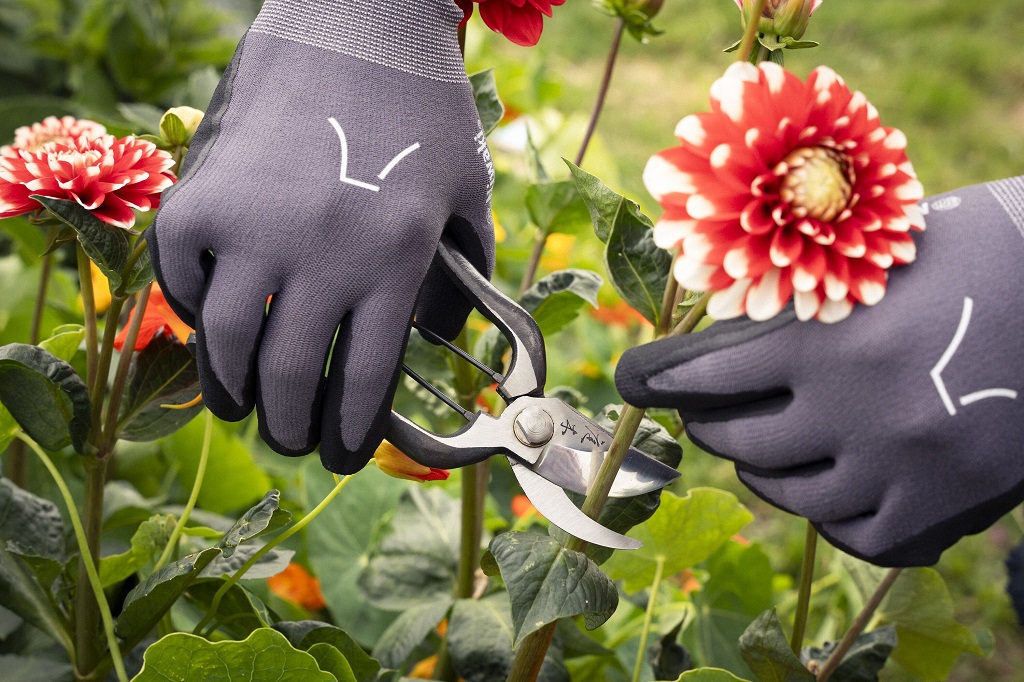 What is Niwaki pruning