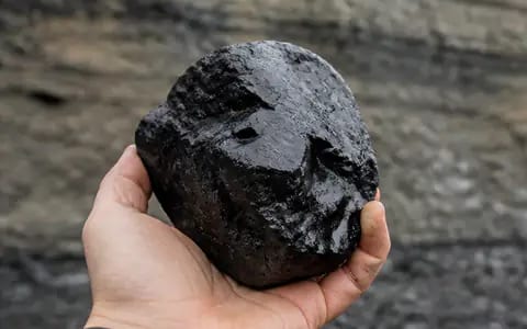 A hand holding a lump of glossy black coal in front of layered rock strata